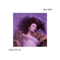 Running Up That Hill (A Deal with God) - Hounds of Love