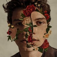 In My Blood - Shawn Mendes
