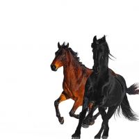 Ringtones for iPhone & Android - Old Town Road - Lil Nas X